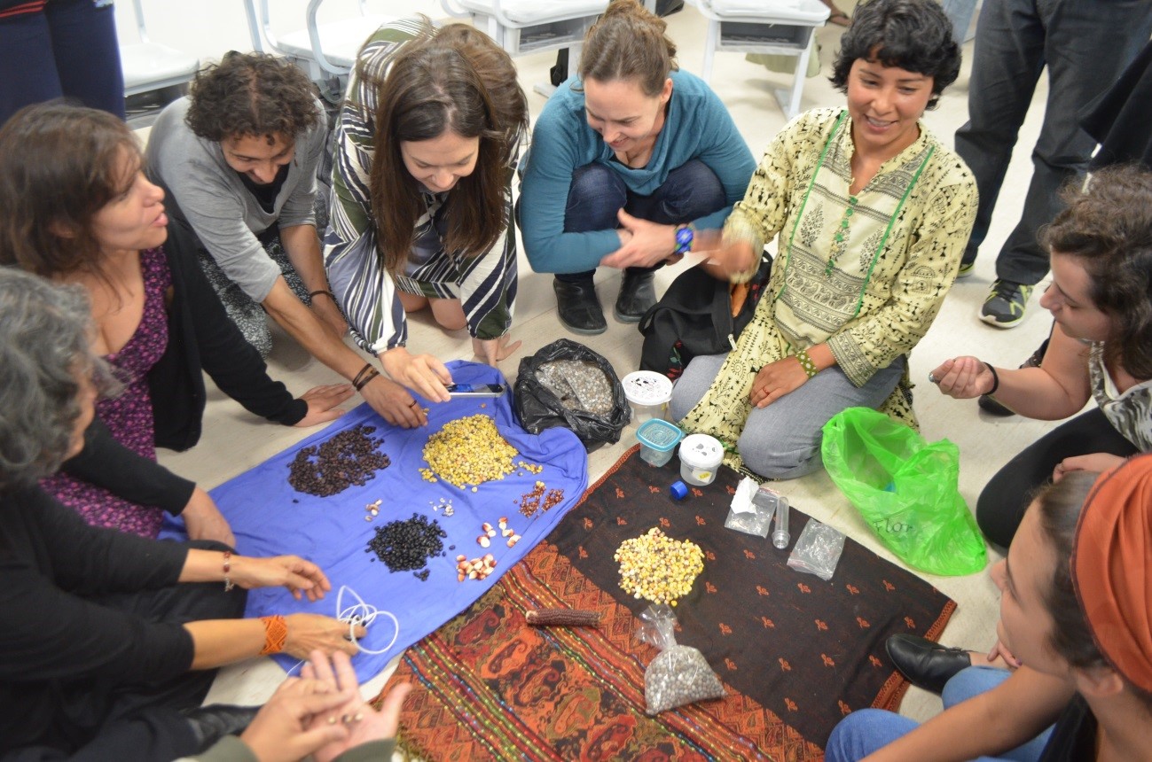 4.3 Apresentação de sementes tradicionais Guarani no quarto encontro